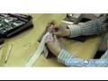 How to Sew a Waistband Casing : How to Sew a Drawstring Waistband with Button Holes