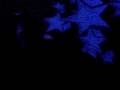 Alden Tyrell Live @ Squadron 08 - Little & Love Explosion