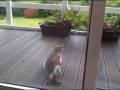 videos de Oct 07 2008 - VID00004