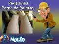 Mucao.com.br - Pegadinha - Pernas de Palmito
