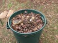 square foot gardening and composting