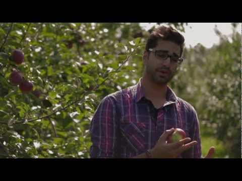 Savouring a Fresh Apple Pie and Coffee at Quinn Farm