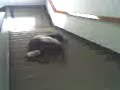 Jonatas caindo da escada - Colegio NSP