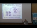 As part of the Stanley Shalom Zielony Distinguished Women in Science Annual Lecture Series: Professor Mildred Dresselhaus of MIT discusses: My 50 years adventure with Carbon. Lecture given on January 24, 2012.