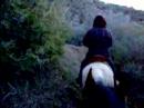 Amuleto and Tango on the Pacific Crest Trail II