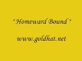 Homeward Bound - Simon and Garfunkel cover