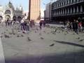 videos de KIKI ANFETAMINE: susi tra i piccioni