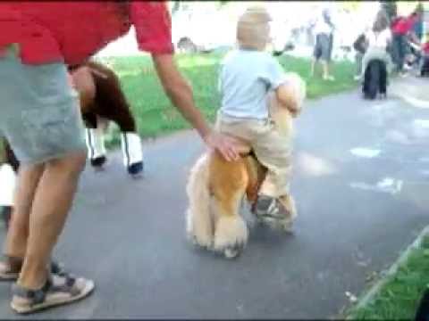 YouTube Preview Image