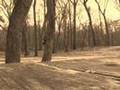 The Legend of the Jersey Devil Part 1