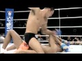 UFC Fight Night: Nogueira vs Davis