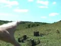 Hill Hill