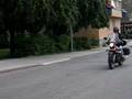 Guzzi-1