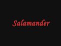 Junko Takeuchi - Salamander Junko Takeuchi - Salamander