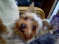 Click here to watch this video Izzy baby 2011