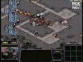 Stupid scarab AI