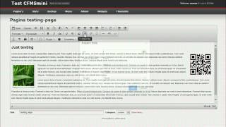 content management systeem cfcmsmini TinyMCE 4