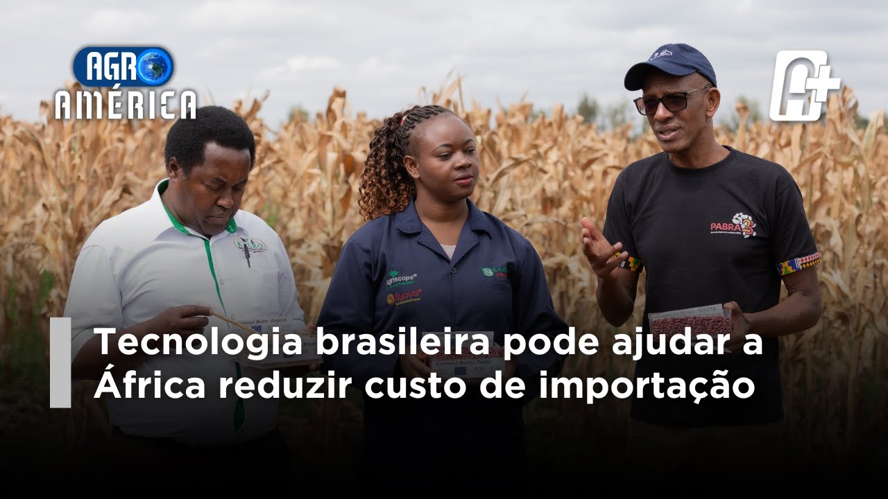 Diálogo África Brasil promove Cooperação Técnica Agrícola entre Brasil e 56 Países Africanos.