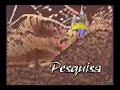 Vídeo Institucional da UFSCar com Hino Nacional Vídeo Institucional da UFSCar com Hino Nacional