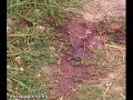muere tras caerse de una torre de alta tensión