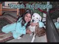 Can't Take Me - Fight BSL
