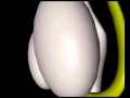 APPAREIL SEXUEL ET GENITAL MASCULIN - .flv
