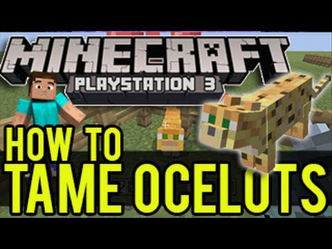 how to train your ocelot in minecraft