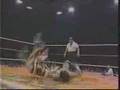 AAATrios-2
