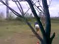 Vídeo004