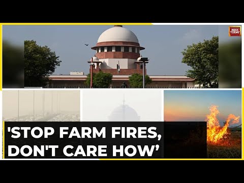 'Stop Farm Fires, Don't Care How,' Supreme Court Tells Punjab, Warns Other States