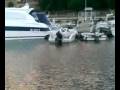 videos de hydro 211108 ROTTURA ELICA CARBONIO.mp4