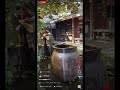 柿田川公園(静岡県駿東郡)