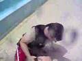 Summit Plummet at Disney's Blizzard Beach