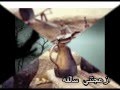 عرض الفيديو