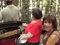 In carrozza a Vallombrosa.wmv