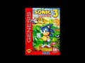 Sonic 3  \"Ice Cap Act I & II\" Music Request