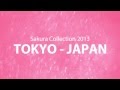 Sakura Collection 2013 Promo