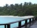 Typically Tropical