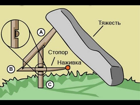 Как сделать легко ловушки Как сделать легко ловушки