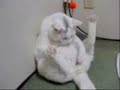 notgeile-muschi.html