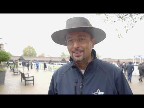Tattersalls Autumn HIT Sale Day 2 2018