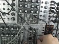malgorkatobug808