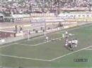 Toro Fiorentina 1-0 12-03-1989