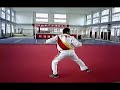 Ma Style Tongbei Fanzi Quan - Zhanzhuang Fan ???? ??? - ???