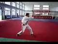 Ma Style Tongbei Fanzi Quan - Zhanzhuang Fan 馬氏通備 翻子拳 - 站桩翻