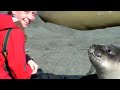 まさに恋人。アザラシと女性のラブラブ動画のサムネイル1