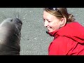 Tener momentos de cariño con un elefante marino