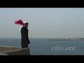 2006海上自衛隊・観艦式