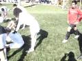 videos de Paso Robles '08 247.mpg