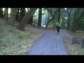 videos de ucsc