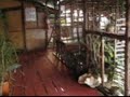 Unique Accomodation in Coron, Palawan : Krystal Lodge